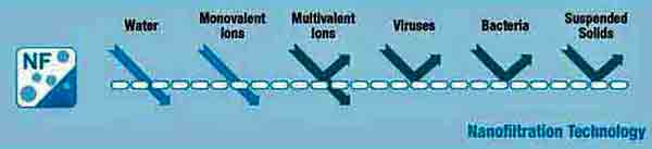 Nanofiltration membranes will allow pure water and only monvalent salts to pass through