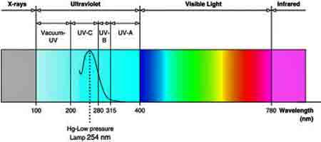 UV light wave spectrum with most effective wave length to kill bacteria