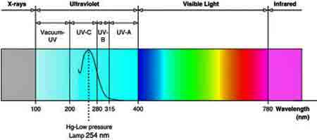 UV light wave spectrum with most effective wave length to kill bacteria